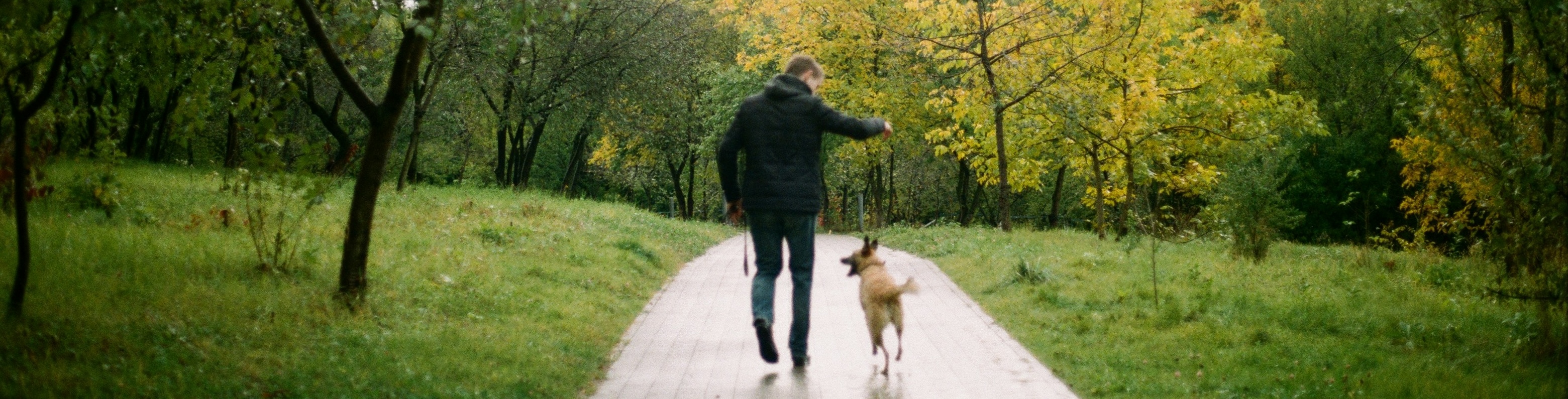 banner photo